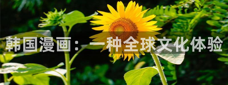 虫虫漫画免费漫画官网：韩国漫画：一种全球文化体验