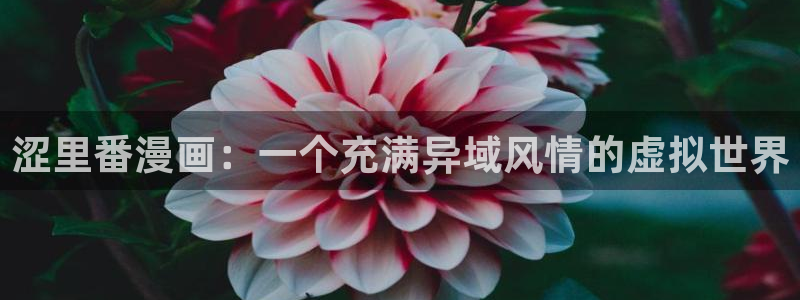虫虫漫画大全免费阅读：涩里番漫画：一个充满异域风情的虚拟世界