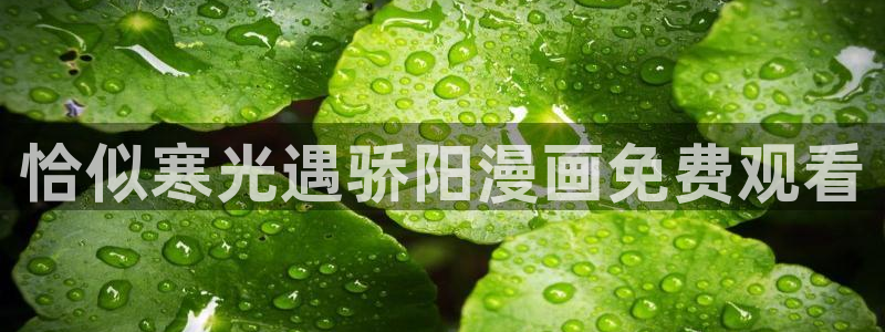虫虫漫画推荐：恰似寒光遇骄阳漫画免费观看