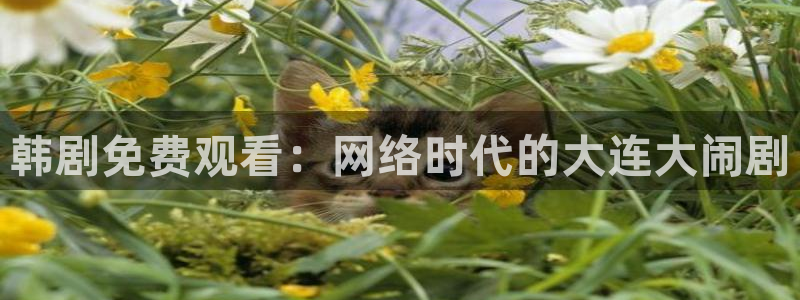 羞羞虫虫漫画：韩剧免费观看：网络时代的大连大闹剧