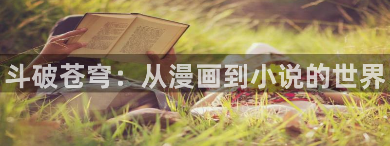 禁漫天堂虫虫漫画：斗破苍穹：从漫画到小说的世界