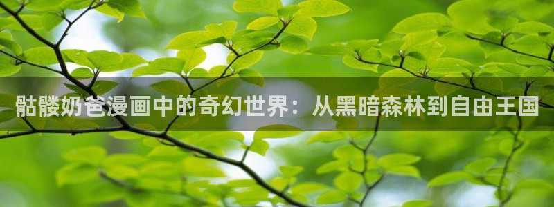 虫虫漫画免费漫画入口页面下载：骷髅奶爸漫画中的奇幻世界：从黑暗森林到自由王国
